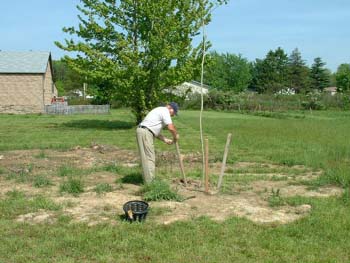 049 - Protecting newly planted trees