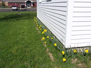 201 - Spring of 2006 arrived