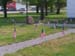 246 - American Flags went up for Memorial Day